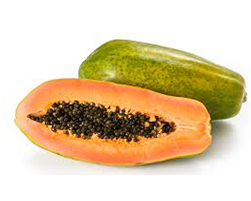coco peat